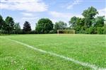 Grass Field