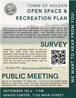 Open Space Survey