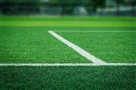 Turf