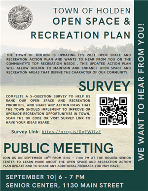 Open Space Survey