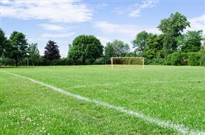 Grass Field