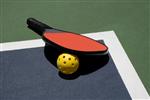 Pickleball Paddle and Ball